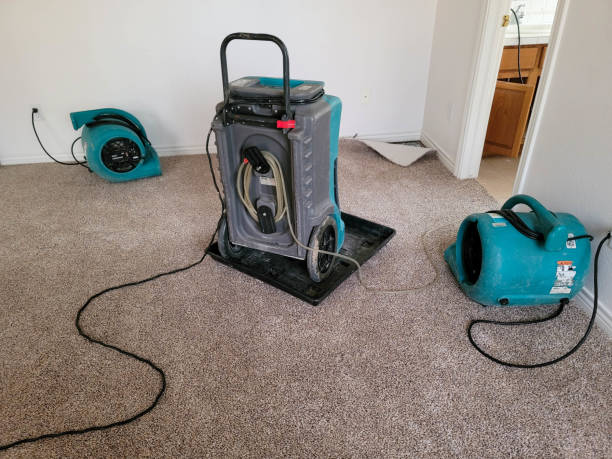 Best Mold removal after water damage  in Simsbury Center, CT