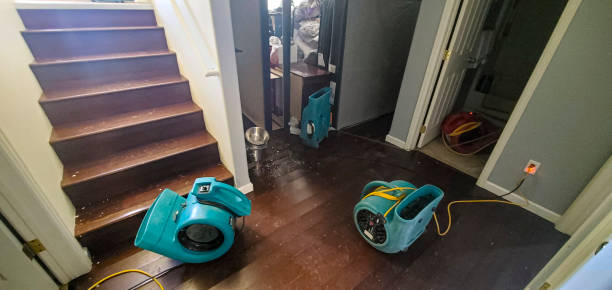Best Basement water damage restoration  in Simsbury Center, CT