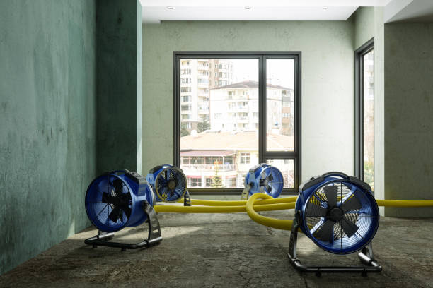 Best Local water damage restoration  in Simsbury Center, CT